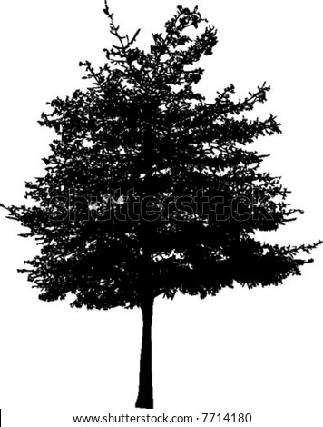 Vector Of A Tree Silhouette - 7714180 : Shutterstock
