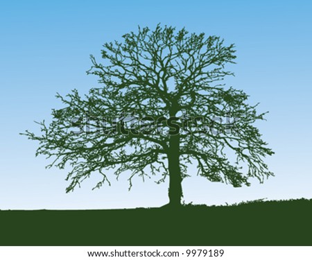 stock vector : Silhouette of an oak tree on a hill
