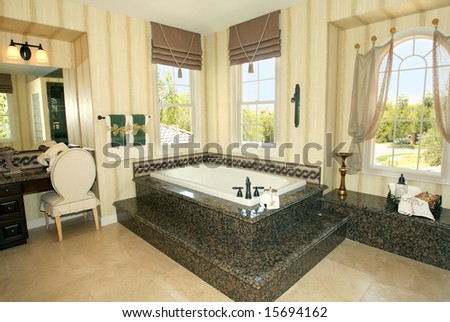 Mansion Master Bathrooms on Elegant Master Bathroom With Granite Details Stock Photo 15694162