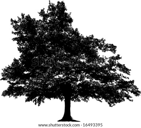 tree silhouette drawing. Vector tree silhouette