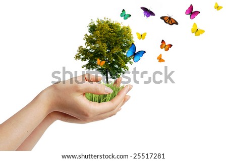 pictures of hands holding. stock photo : Hands holding a