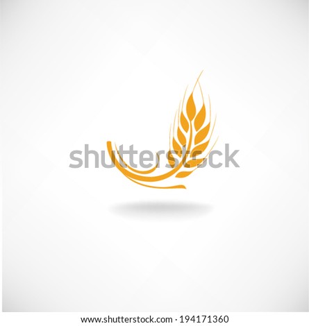 Ears of wheat in front of white background Vector Ears of wheat in front of white background Vector