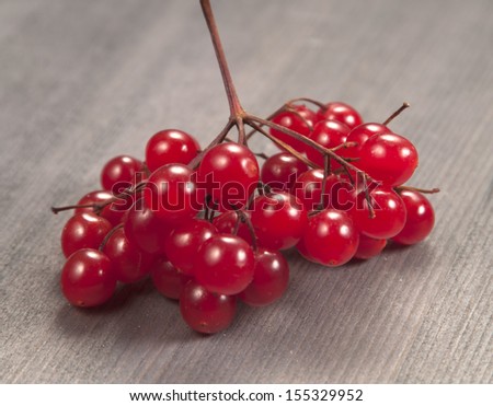 Arrow-wood berries bunch on a wooden table