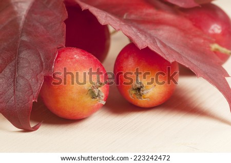 Crab (Paradise) apples on a wood board, autumn picture, macro