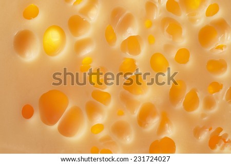 Cheese holes with back lighting, macro shot