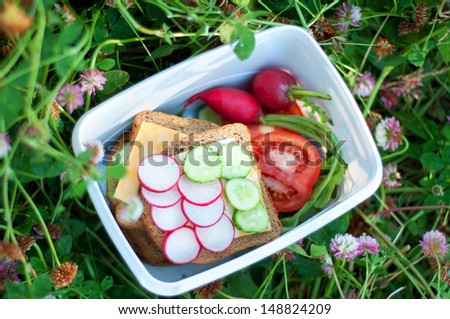container with sandwiches and vegetables