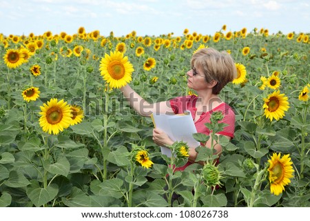 Agricultural expert inspecting quality of sunflower in field