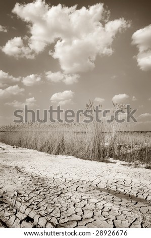 Yellow clay in moor with dry land sky and  clouds monochrome