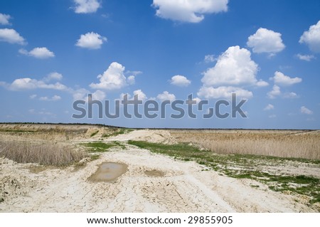 Yellow clay in moor with cane, dry land blue sky and  clouds