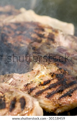 Preparing barbecue on classical way in close up