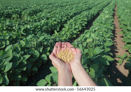 Human Seed