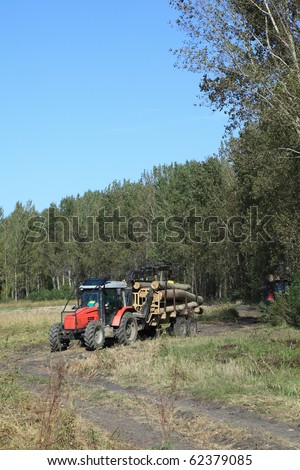 Lumber industry, transportation of cut wood with tractor