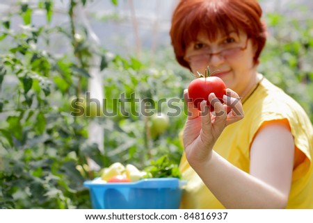 Caucasian woman holding tomato in  hand, selective focus
