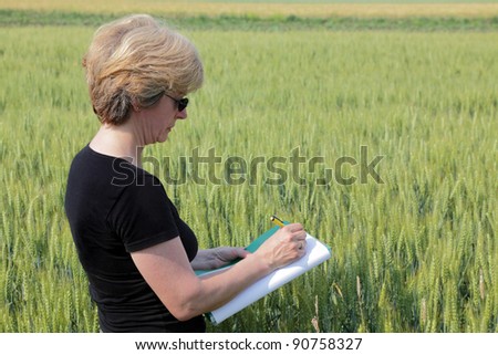 Agricultural expert inspecting quality of wheat