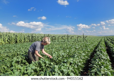 Female agricultural expert inspecting quality of soy