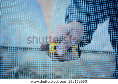 Close up of worker hands cut mesh for styrofoam insulation