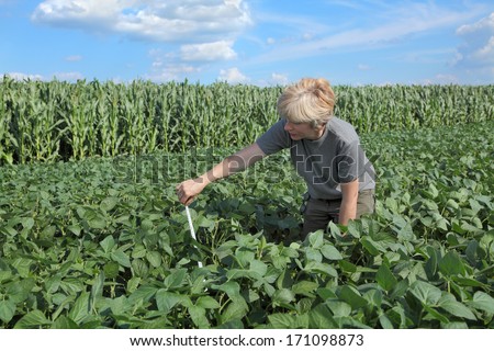Female agricultural expert inspecting quality of soy bean