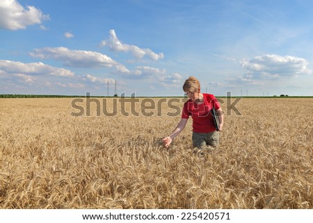 Agricultural expert inspecting quality of wheat, using laptop