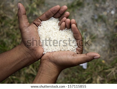 Hand hold rice in shape of love Hand hold rice in shape of love