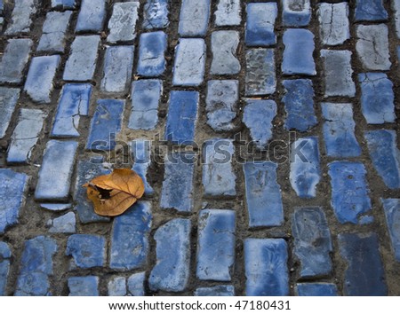 Fallen leaf on blue brick street