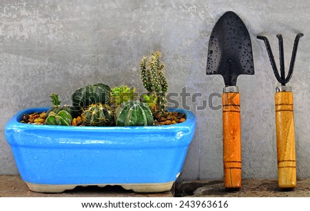 Shovel and gardening fork with cactus pot on concrete texture background
