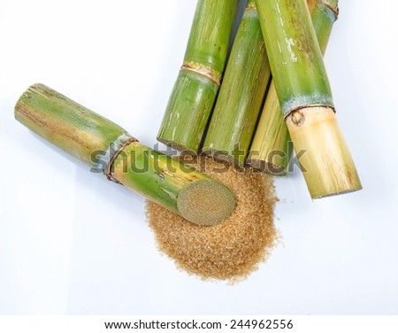 Sugar cane on white background