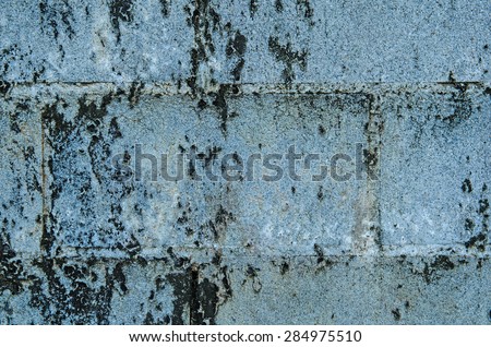 Black mold on brick wall texture.Background