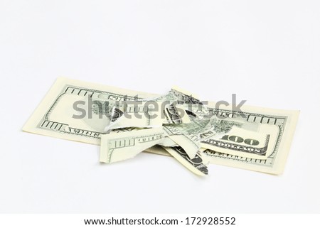 Dollars bill torn apart