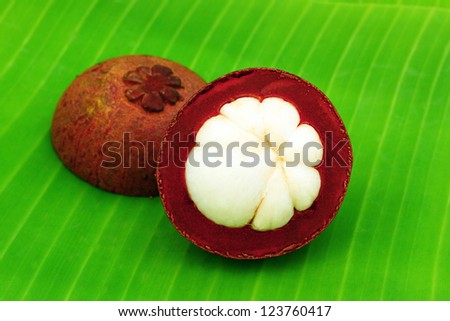 mangosteen on green background, the tropical purple fruit in Thailand.