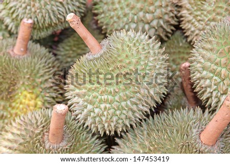 Durian, King of fruit, Famous fruit in Thailand