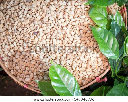 Green coffee beans with coffee leaf.