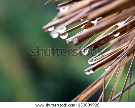 water drop falling from the straw roof, Raining background