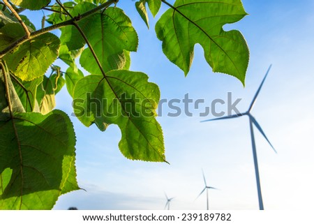 wind turbines and leave