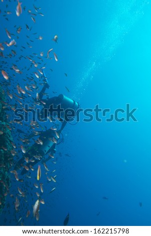 handicapped disabled leg less scuba diver on the reef background