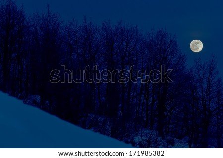 moon on snow and forest in winter time