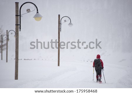 isolated snow shoe trekker covered by snow