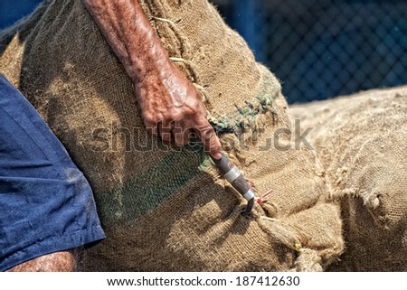 Old man hands holding juta sack in Asia