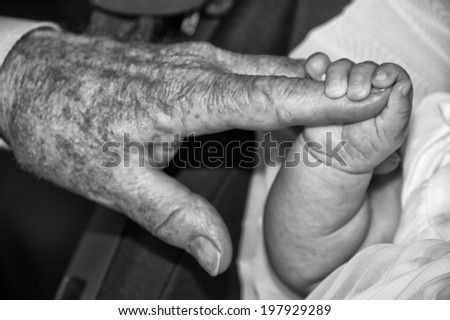 old man hand while holding newborn infant in black and white