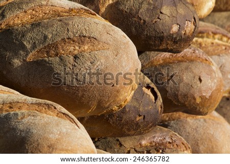 italian bread close up detail
