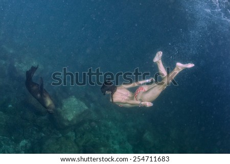 sea lion seal coming to black hair diver girl underwater