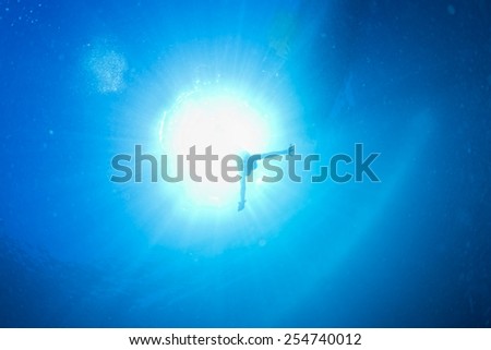 backlight diver underwater coming to the deep ocean
