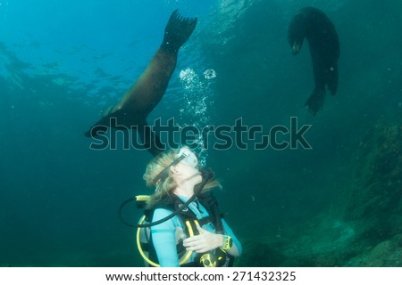 sea lion seal coming to blonde diver girl underwater