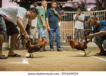 MOALBOAL - PHILIPPINES - DECEMBER 29, 2012 - Annual Cock derby fight cruel show