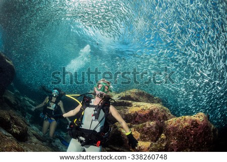 blonde and black hair scuba diver in sardine school of fish and corals reef blue ocean background