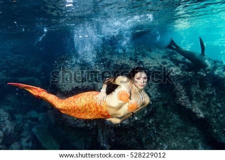 black hair Mermaid swimming underwater in the deep blue sea with a sea lion
