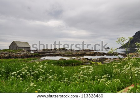 The beach called Grotle sanden in Bremanger west Norway. A grey shed, green grass and summer flowers. Grey cloudy sky. Fresh colors.