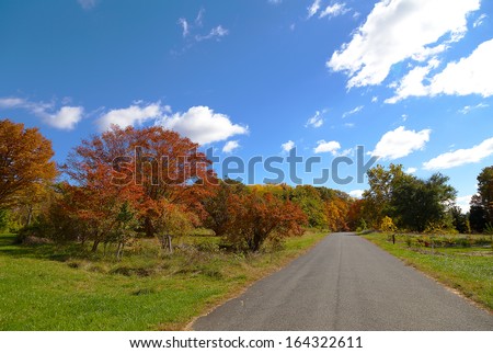 US National Arboretum in the Fall, Washington DC. Road framed by colorful autumn trees.