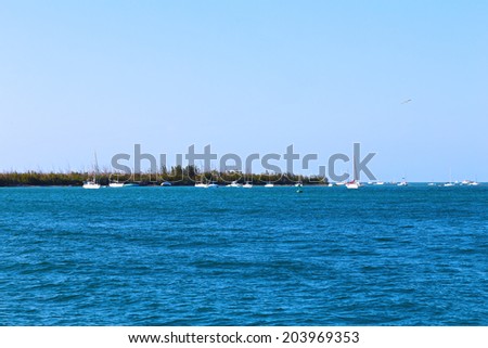 Remote yachts moored near the ocean island. The island near Key West before sunset attracts yachtsmen.