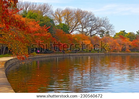 Trees in autumn foliage along Tidal Basin walkway, Washington DC. Colorful trees at peak of fall season and their reflections in Tidal Basin waters.