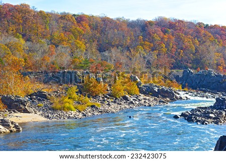 Potomac River with rapids at Great Fall National Park, Virginia USA. Potomac River and trees in colorful foliage.